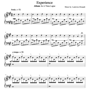 experience